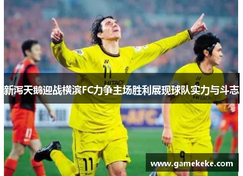 新泻天鹅迎战横滨FC力争主场胜利展现球队实力与斗志