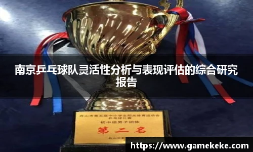 南京乒乓球队灵活性分析与表现评估的综合研究报告